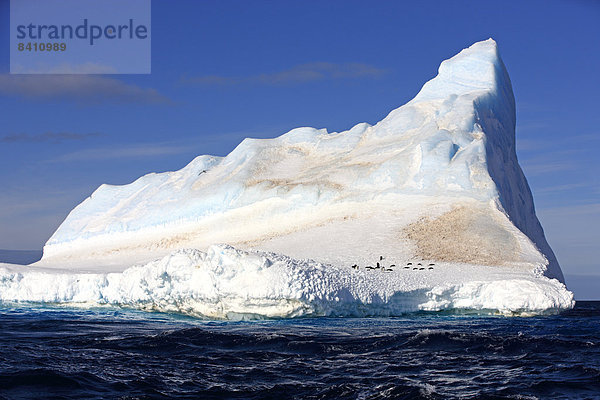 Eisberg  Weddell-Meer  Antarktis