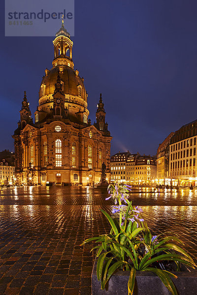 Beleuchtete Frauenkirche und Neumarkt zur blauen Stunde  Neumarkt  Dresden  Sachsen  Deutschland