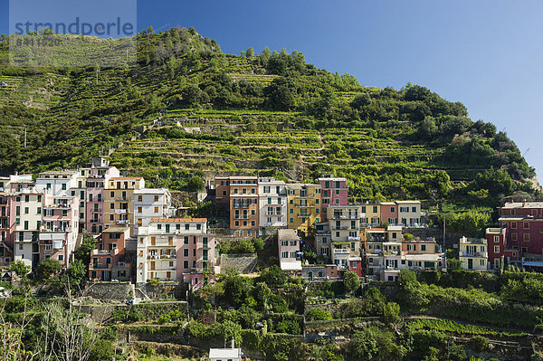 Dorf mit bunten Häusern  Manarola  Cinque Terre  UNESCO-Weltkulturerbe  Provinz La Spezia  Ligurien  Italien