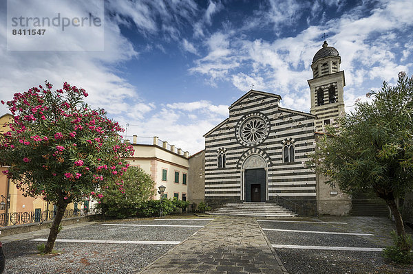 Kirche Chiesa di Sant'Andrea Apostolo  davor Oleanderbäume  Levanto  Riviera di Levante  Provinz La Spezia  Ligurien  Italien