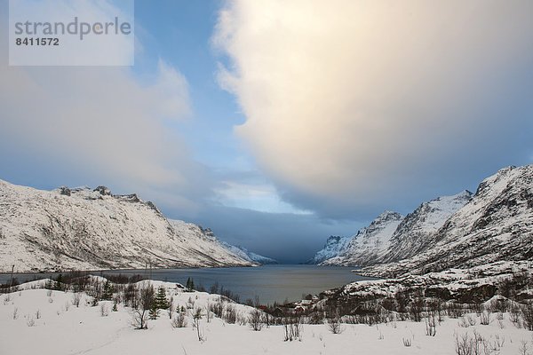 Landschaft am Ersfjord  Ersfjordbotn  Troms  Norwegen