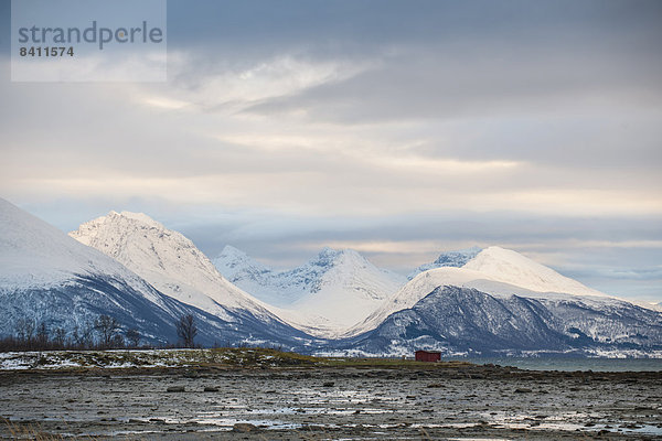 Landschaft am Balsfjord  Troms  Norwegen