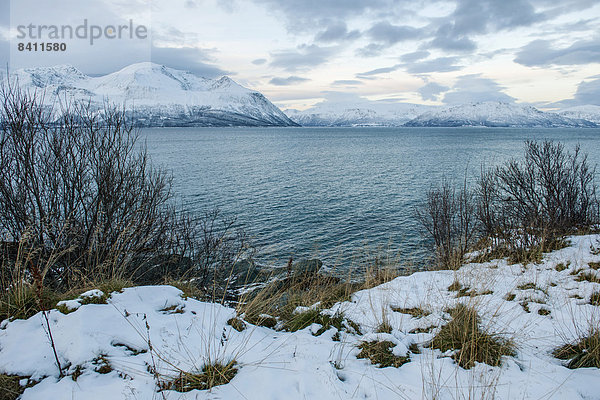 Lyngenfjord  Troms  Norwegen
