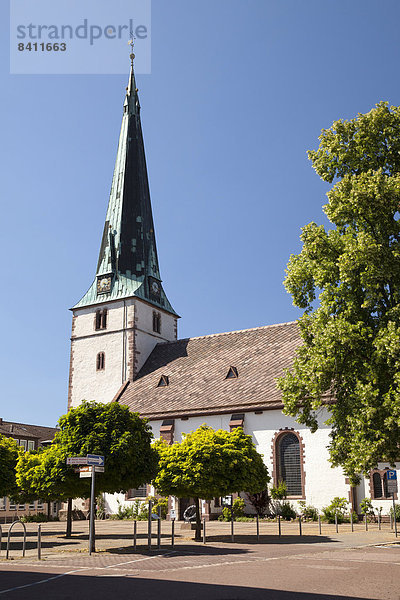 Luther-Kirche  Holzminden  Weserbergland  Niedersachsen  Deutschland