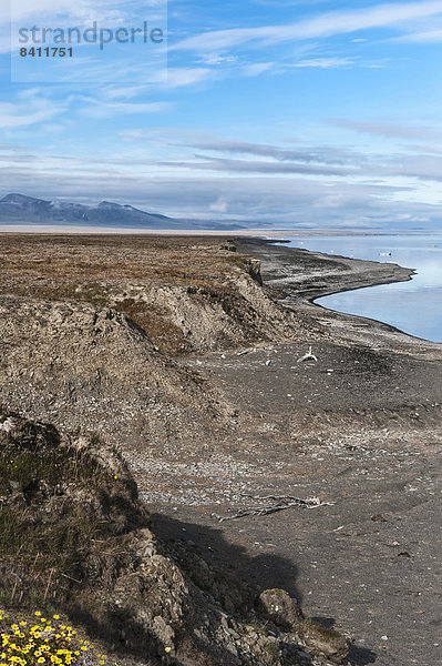 Küstenlandschaft  Wrangelinsel  UNESCO-Weltkulturerbe  Tschukotka  Russland