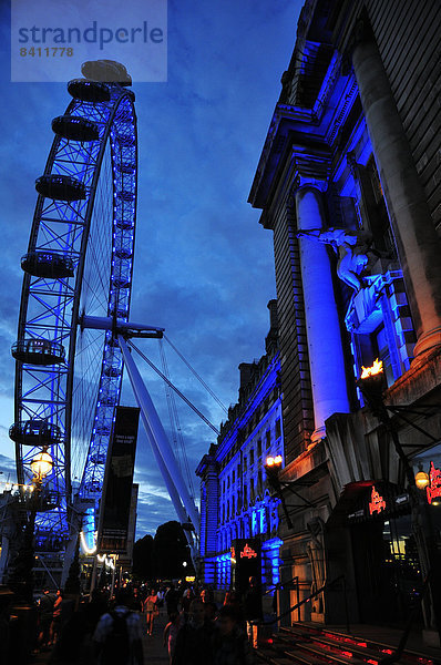 Das London Eye bei der London County Hall in der Dämmerung  London  England  Großbritannien