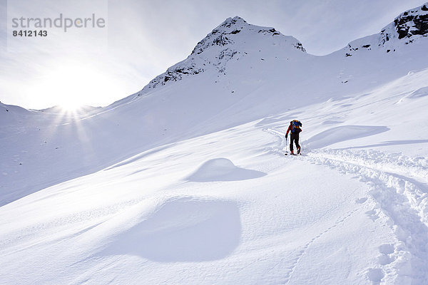 Skitourengeher beim Aufstieg auf die Ellesspitze im Pflerschtal  Wipptal  Südtirol  Italien