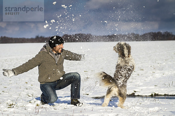 Ein Mann und sein Hund spielen im Schnee auf einem Feld  bei Wustermark  Havelland  Brandenburg  Deutschland