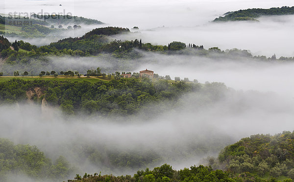 Nebelschwaden in den Tälern der Crete Senesi  Chiusure  Toskana  Italien