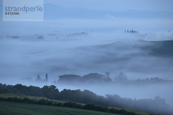 Nebelschwaden am frühen Morgen in den Tälern der Crete Senesi  Chiusure  Arbia  Toskana  Italien