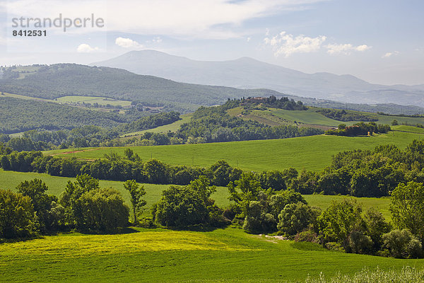 Hügelige Landschaft der Crete Senesi  Torrenieri  Toskana  Italien