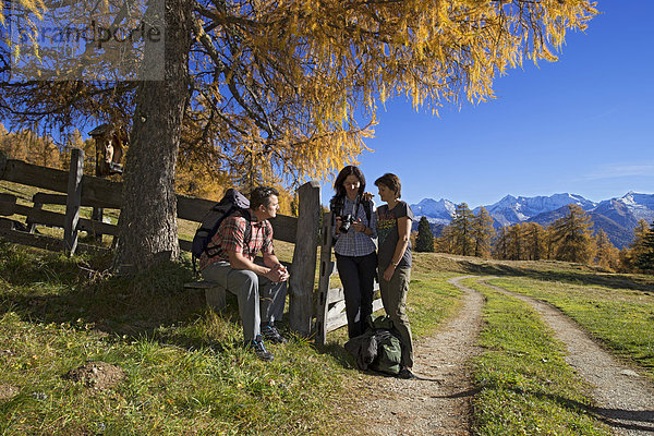 Wanderer auf den Lärchenwiesen  Obernbergtal  Tirol  Österreich