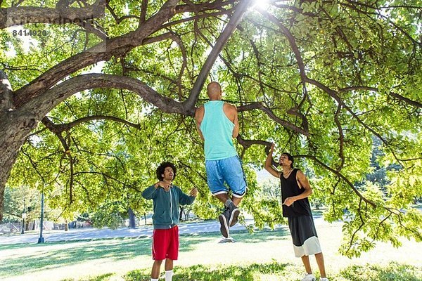 Junger Mann  der mit Freunden auf einem Baum im Park Kinn ups macht.