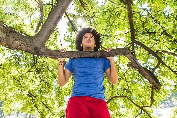 Junger Mann macht Kinn-Ups am Baum im Park