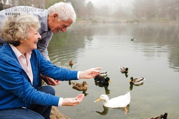 Mann und Frau füttern Enten am See