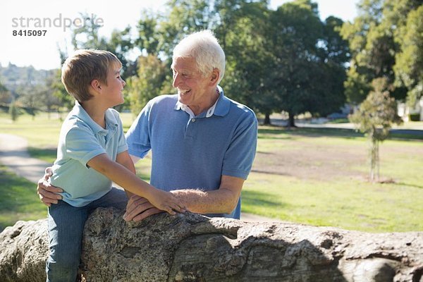Grossvater und Enkel im Park  auf einem Baum sitzend