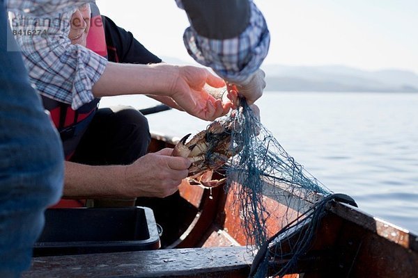 Menschen auf dem Boot beim Krabbenfischen  Aure  Norwegen