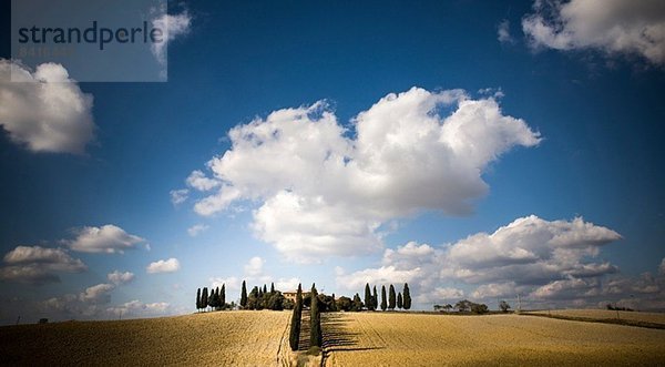 Wolken und Feld  Siena  Valle Orcia  Toskana  Italien