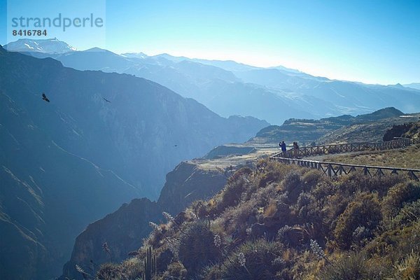 Touristenfotografie Kondore  Colca Canyon  Peru