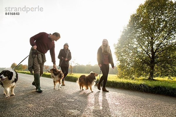 Senior Paar und Enkelin mit Hunden  Norfolk  UK