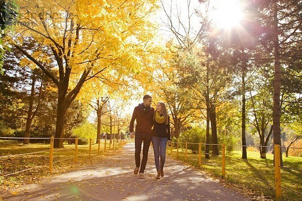 Junges Paar beim Spaziergang im Herbstpark  Wien  Österreich