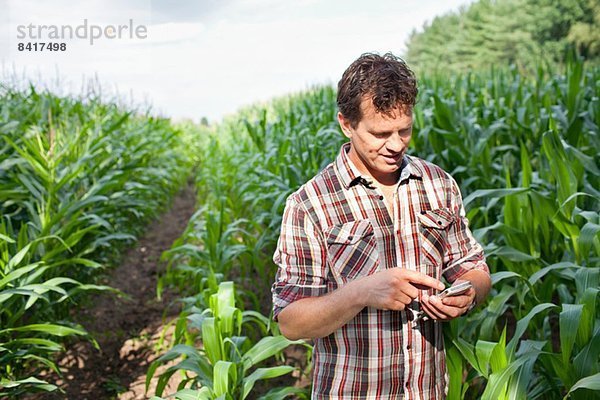 Landwirt steht auf dem Feld mit Smartphone