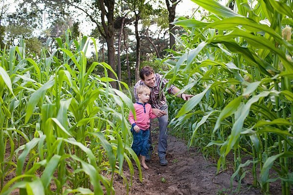 Bauer und Sohn im Ackerbau