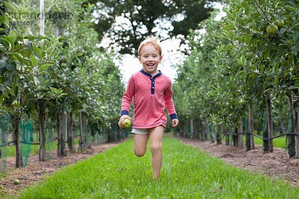 Junge rennt durch den Apfelgarten