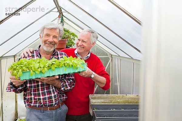 Ältere männliche Freunde in Gewächshauspflanzen