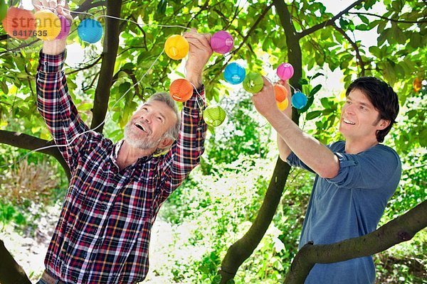 Vater und erwachsener Sohn setzen Lichterketten in den Baum