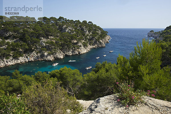 Außenaufnahme  Landschaftlich schön  landschaftlich reizvoll  Frankreich  Europa  Tag  Küste  Cote d Azur  Cassis