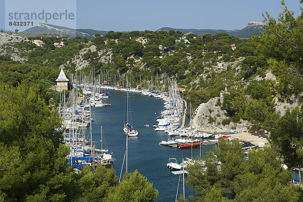 Außenaufnahme  Hafen  Frankreich  Europa  Tag  Küste  Boot  Motorboot  Cote d Azur