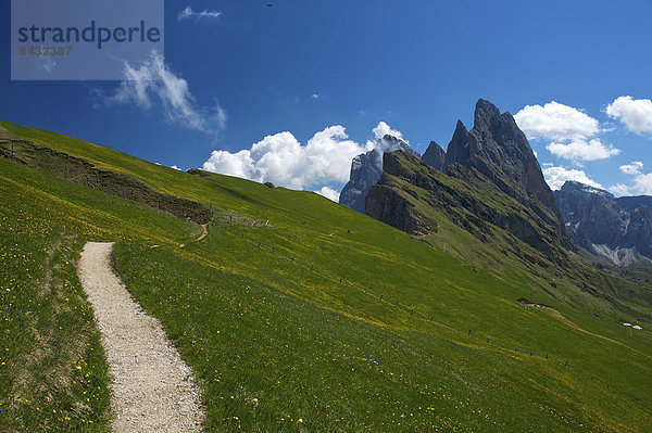 Außenaufnahme  Landschaftlich schön  landschaftlich reizvoll  Europa  Berg  Tag  Weg  Natur  Dolomiten  Trentino Südtirol  Wanderweg  Italien  Berglandschaft  Grödnertal