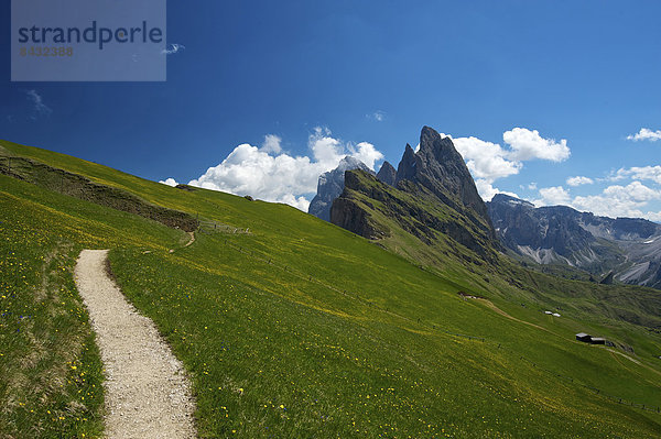 Außenaufnahme  Landschaftlich schön  landschaftlich reizvoll  Europa  Berg  Tag  Weg  Natur  Dolomiten  Trentino Südtirol  Wanderweg  Italien  Berglandschaft  Grödnertal