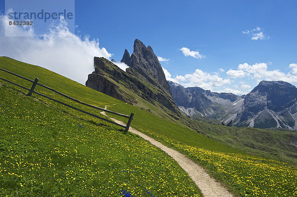 Außenaufnahme  Landschaftlich schön  landschaftlich reizvoll  Europa  Berg  Tag  Weg  Natur  Dolomiten  Trentino Südtirol  Wanderweg  Italien  Berglandschaft  Grödnertal