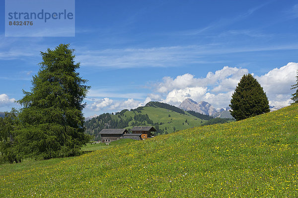 Außenaufnahme  Landschaftlich schön  landschaftlich reizvoll  Hütte  Europa  Berg  Tag  Natur  Dolomiten  Trentino Südtirol  Italien  Berglandschaft