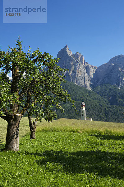 Außenaufnahme  Landschaftlich schön  landschaftlich reizvoll  Europa  Berg  Tag  Kirche  Kirchturm  Dolomiten  Trentino Südtirol  Italien  Berglandschaft