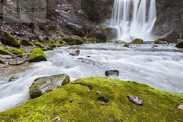 Landschaftlich schön  landschaftlich reizvoll  Wasser  Europa  nass  Landschaft  grün  Tal  Natur  fließen  Fluss  Alpen  Herbst  Wasserfall  Gras  Schlucht  Moos  Schweiz