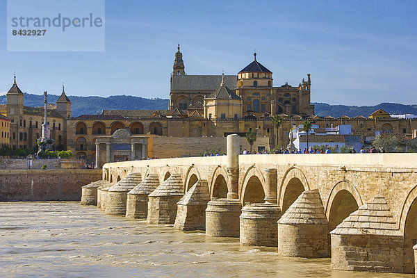 Europa  Reise  Großstadt  Architektur  Geschichte  Wahrzeichen  Brücke  Fluss  Tourismus  Geographie  UNESCO-Welterbe  Andalusien  Guadalquivir  Moschee  römisch  Spanien