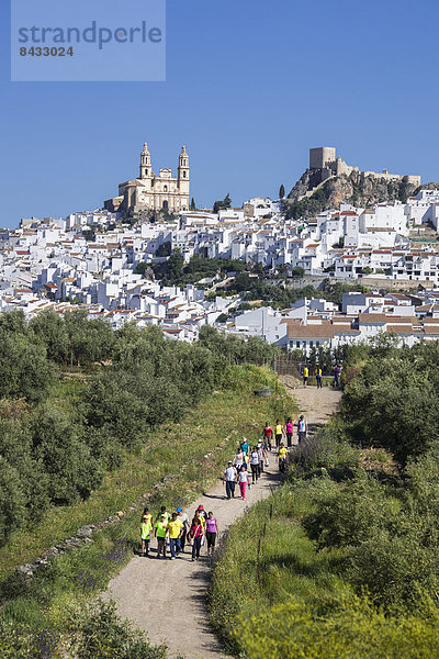 Skyline  Skylines  Europa  Palast  Schloß  Schlösser  Reise  folgen  Baum  Landschaft  Großstadt  weiß  bunt  Olive  Geographie  Andalusien  Olvera  Spanien