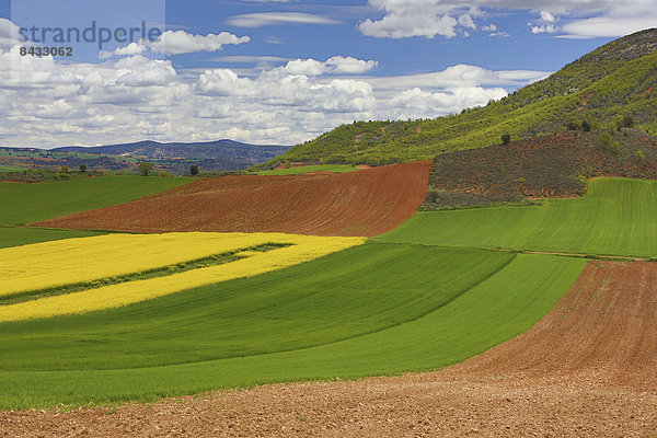 Farbaufnahme Farbe Europa Wohnhaus folgen Kontrast Landschaft Erde Hügel grün Reise bunt rot Tourismus Geographie Guadalajara Spanien