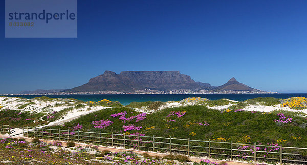 Südliches Afrika  Südafrika  Strand  Tafelberg  Afrika  Bloubergstrand  Kapstadt