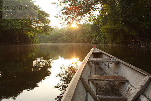 Wasser  Sonnenstrahl  Morgen  Baum  Sonnenaufgang  Regenwald  See  Strauch  Ast  Kanu  binden  Gegenlicht  Wald  Kolumbien  Südamerika