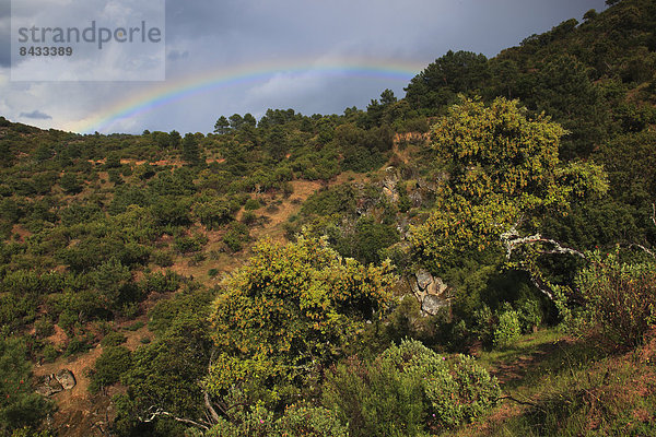 Nationalpark Felsbrocken Berg Stein Baum Steilküste Wald Holz Regenbogen Andalusien Spanien