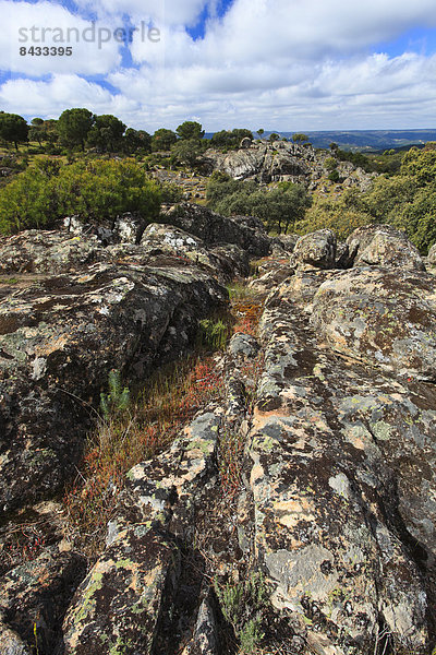 Nationalpark Felsbrocken Berg Stein Baum Steilküste Wald Landschaftlich schön landschaftlich reizvoll Holz Lebensraum Andalusien Spanien