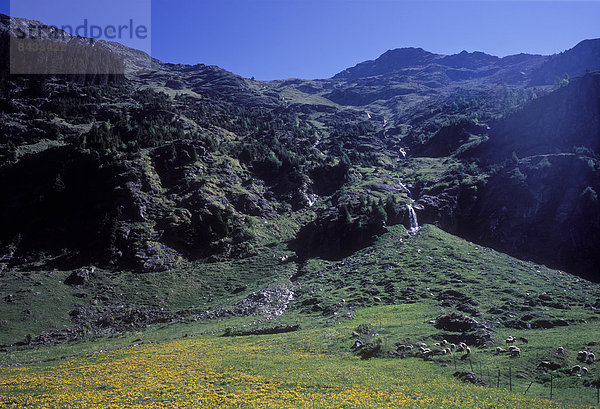 Landschaftlich schön  landschaftlich reizvoll  Europa  Berg  Landschaft  Wiese  Schweiz