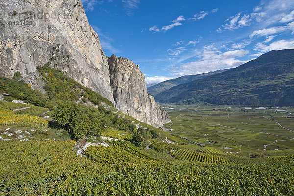 Landschaftlich schön  landschaftlich reizvoll  Europa  Berg  Wein  Landschaft  Landwirtschaft  Herbst  Schweiz