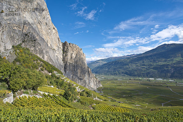 Landschaftlich schön  landschaftlich reizvoll  Europa  Berg  Wein  Landschaft  Landwirtschaft  Herbst  Schweiz