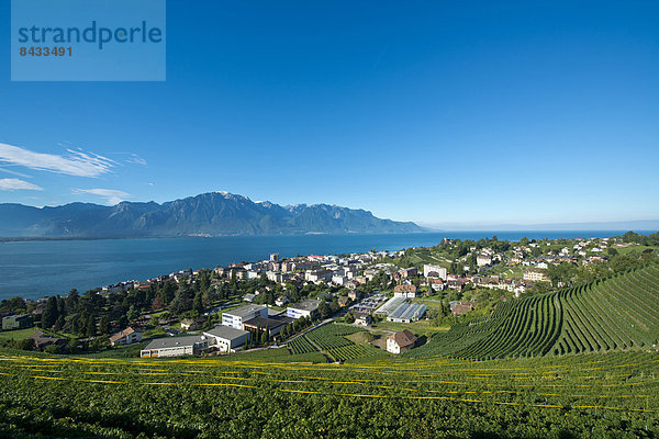 Landschaftlich schön landschaftlich reizvoll Europa Palast Schloß Schlösser Wohnhaus Landschaft Gebäude Stadt Großstadt See Genfer See Genfersee Lac Leman Weinberg Montreux Schweiz