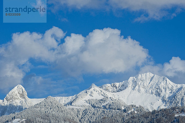 Landschaftlich schön  landschaftlich reizvoll  Europa  Berg  Winter  Landschaft  Montreux  Schweiz